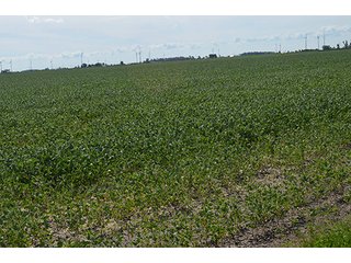 Property photo 28 - 233 +/- Acres Offered in 3 Tracts, Ohio Land Auction